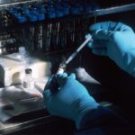 Des mains avec des gants qui préparent les échantillons pour un test adn dans un laboratoire