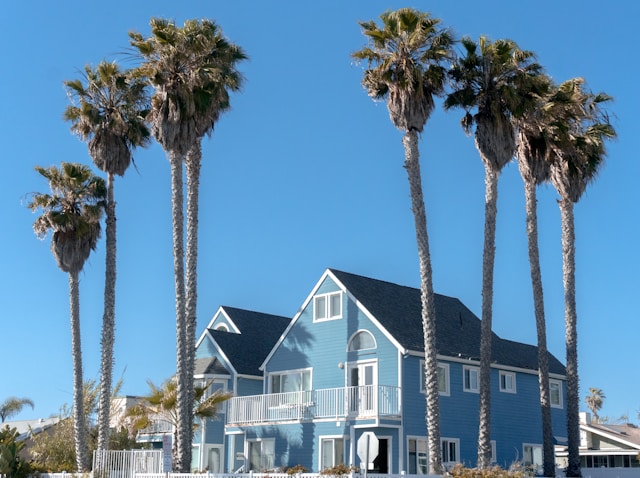 investissement immobilier