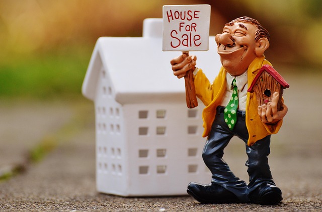 immobilier en VEFA